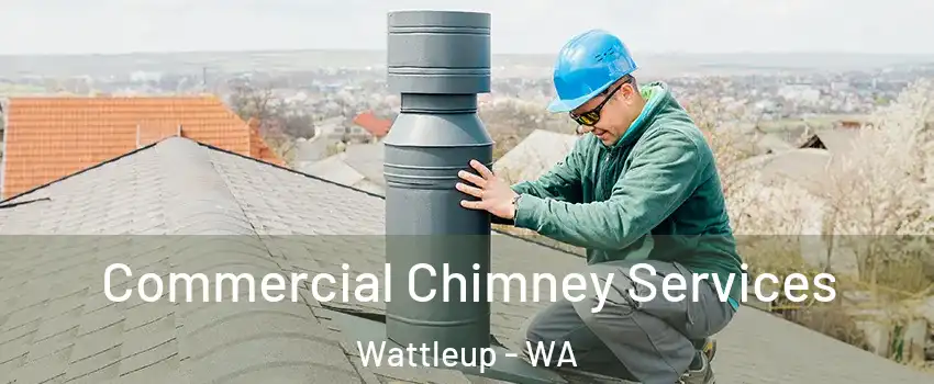 Commercial Chimney Services Wattleup - WA