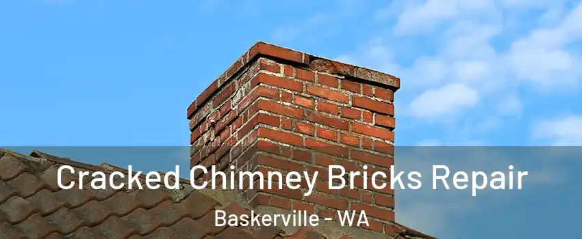 Cracked Chimney Bricks Repair Baskerville - WA