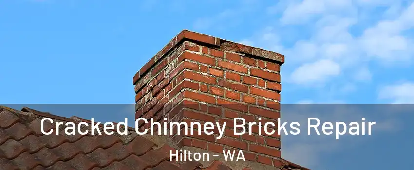Cracked Chimney Bricks Repair Hilton - WA