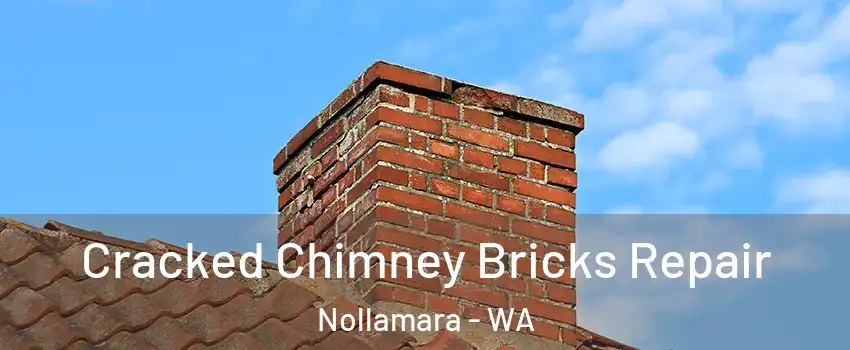 Cracked Chimney Bricks Repair Nollamara - WA