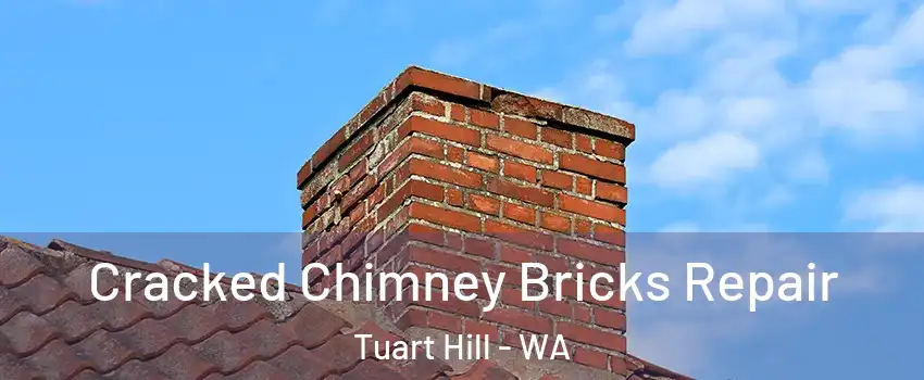 Cracked Chimney Bricks Repair Tuart Hill - WA