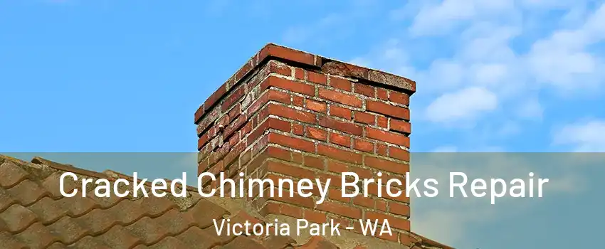 Cracked Chimney Bricks Repair Victoria Park - WA