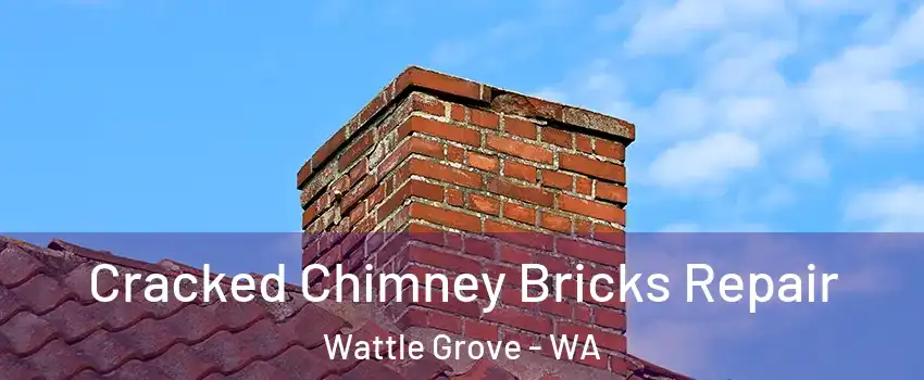 Cracked Chimney Bricks Repair Wattle Grove - WA