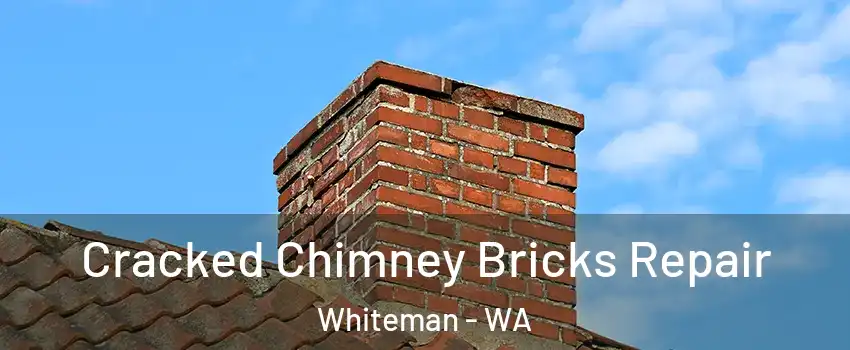 Cracked Chimney Bricks Repair Whiteman - WA