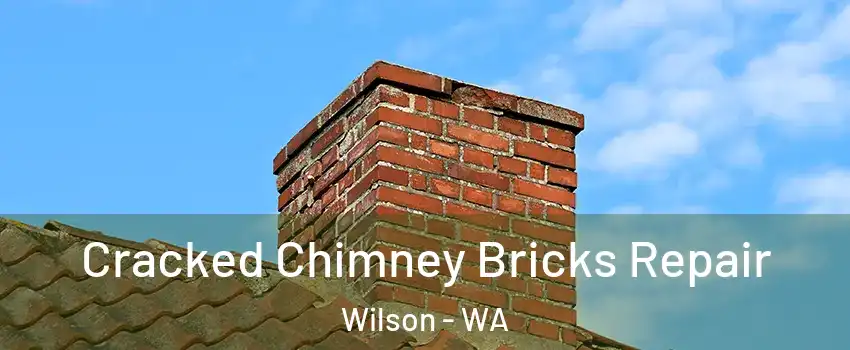 Cracked Chimney Bricks Repair Wilson - WA