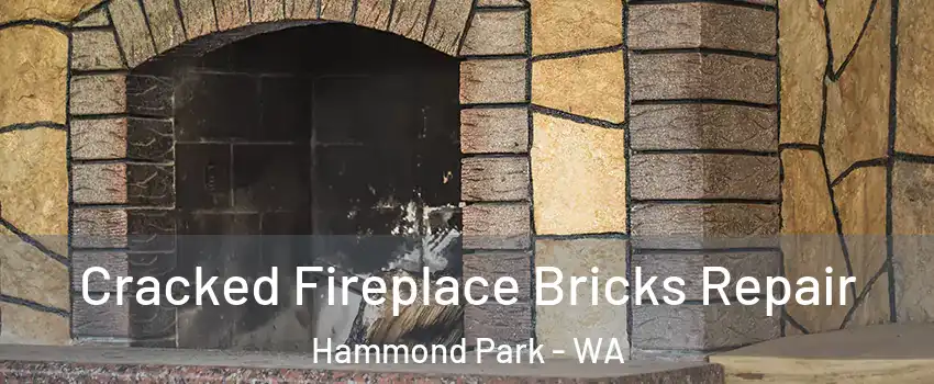 Cracked Fireplace Bricks Repair Hammond Park - WA