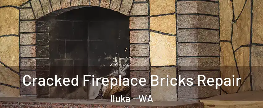 Cracked Fireplace Bricks Repair Iluka - WA