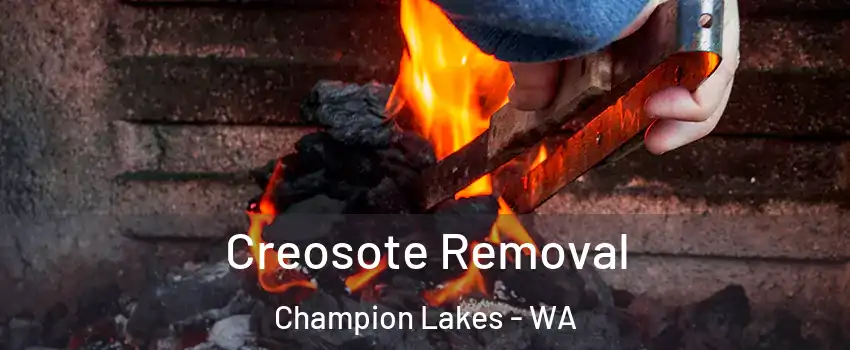Creosote Removal Champion Lakes - WA