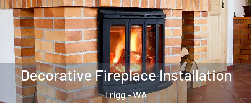 Decorative Fireplace Installation Trigg - WA