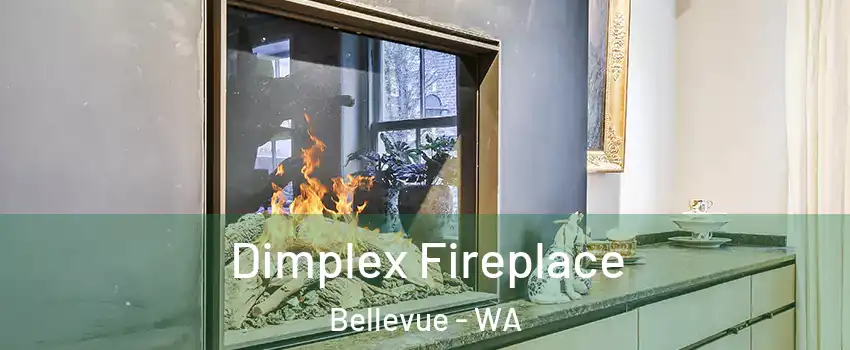 Dimplex Fireplace Bellevue - WA
