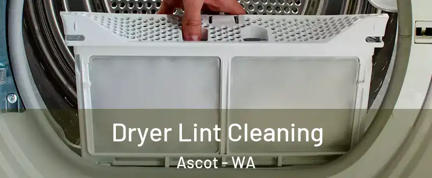 Dryer Lint Cleaning Ascot - WA