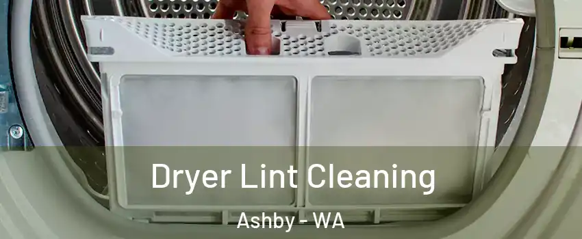Dryer Lint Cleaning Ashby - WA