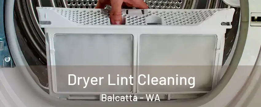 Dryer Lint Cleaning Balcatta - WA