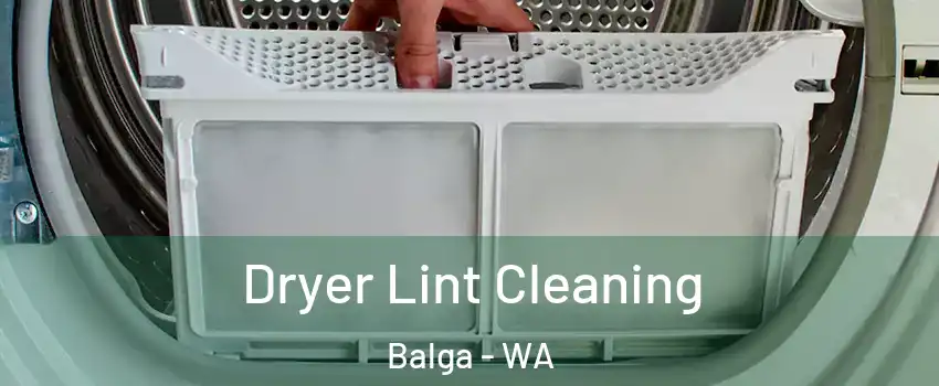 Dryer Lint Cleaning Balga - WA