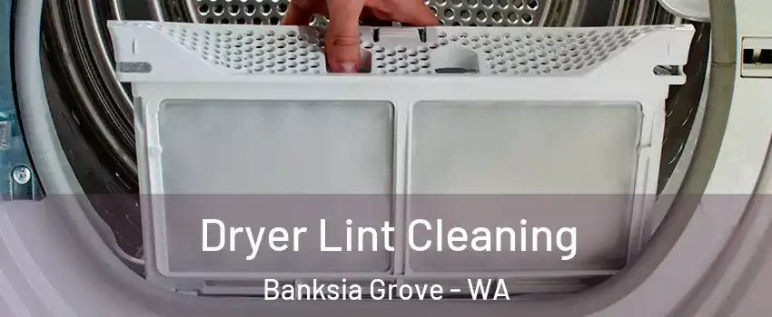 Dryer Lint Cleaning Banksia Grove - WA
