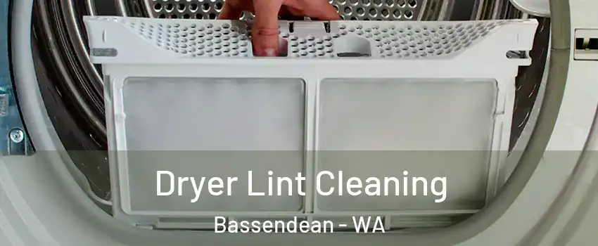 Dryer Lint Cleaning Bassendean - WA