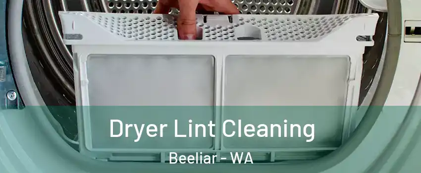 Dryer Lint Cleaning Beeliar - WA