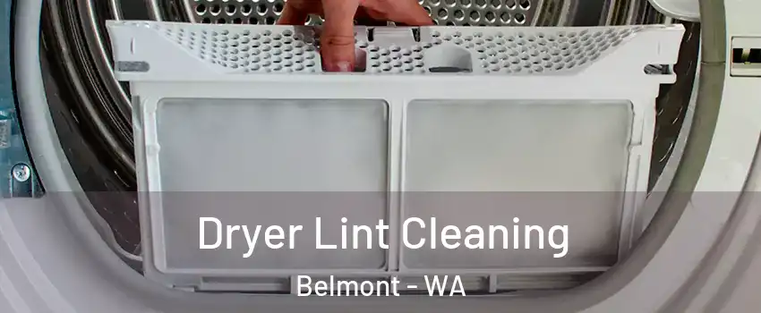 Dryer Lint Cleaning Belmont - WA
