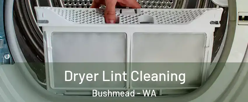 Dryer Lint Cleaning Bushmead - WA