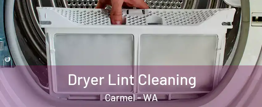 Dryer Lint Cleaning Carmel - WA