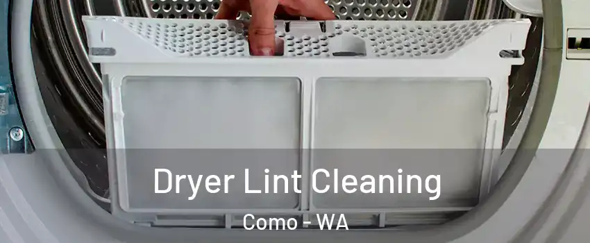 Dryer Lint Cleaning Como - WA