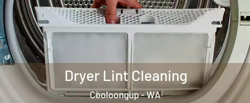 Dryer Lint Cleaning Cooloongup - WA
