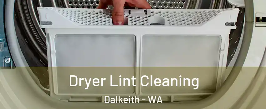 Dryer Lint Cleaning Dalkeith - WA