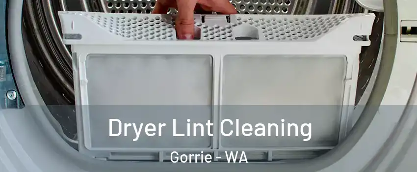 Dryer Lint Cleaning Gorrie - WA