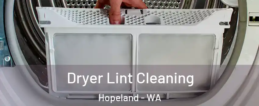 Dryer Lint Cleaning Hopeland - WA
