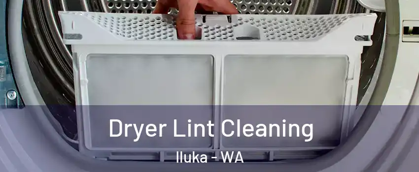 Dryer Lint Cleaning Iluka - WA