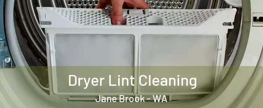 Dryer Lint Cleaning Jane Brook - WA