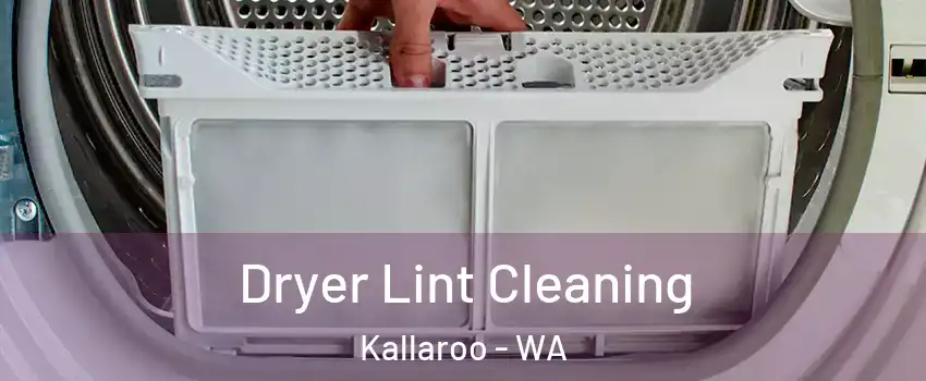 Dryer Lint Cleaning Kallaroo - WA