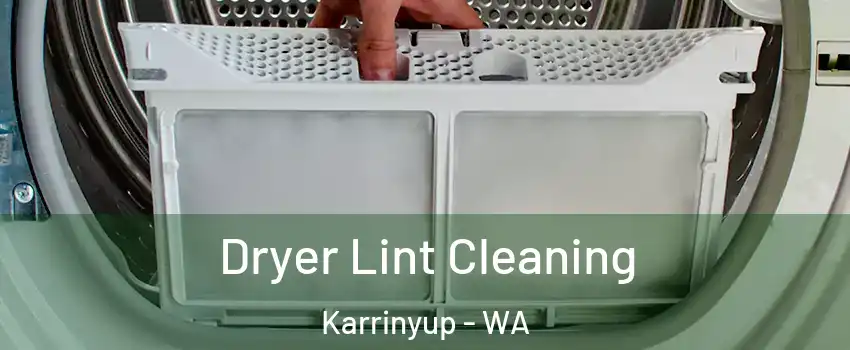 Dryer Lint Cleaning Karrinyup - WA