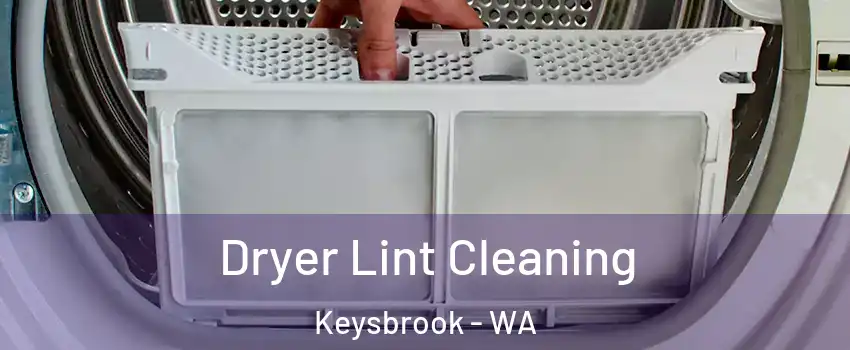 Dryer Lint Cleaning Keysbrook - WA