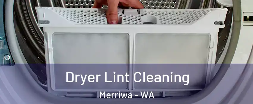 Dryer Lint Cleaning Merriwa - WA