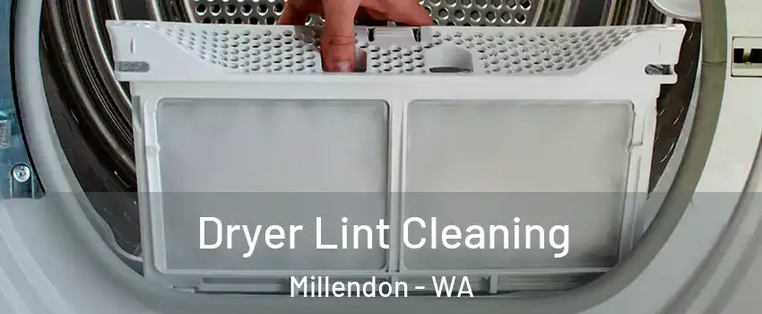 Dryer Lint Cleaning Millendon - WA