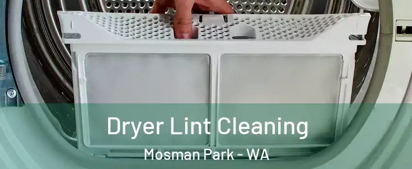 Dryer Lint Cleaning Mosman Park - WA