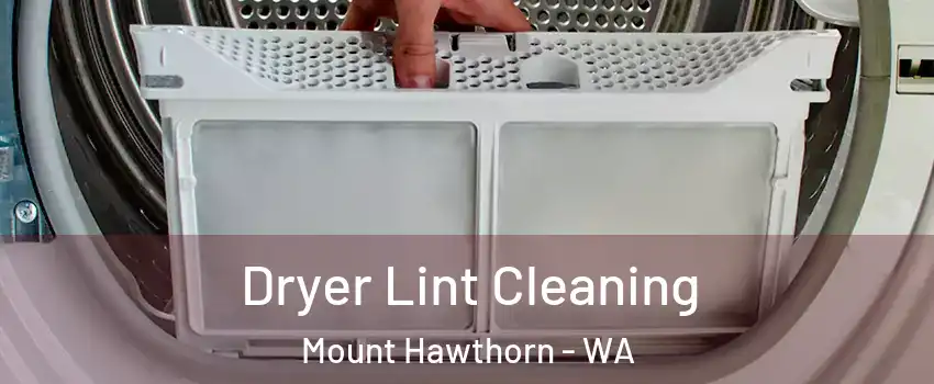 Dryer Lint Cleaning Mount Hawthorn - WA