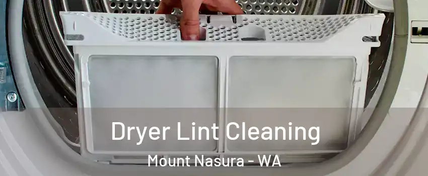 Dryer Lint Cleaning Mount Nasura - WA