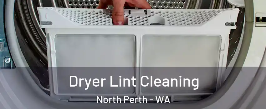 Dryer Lint Cleaning North Perth - WA