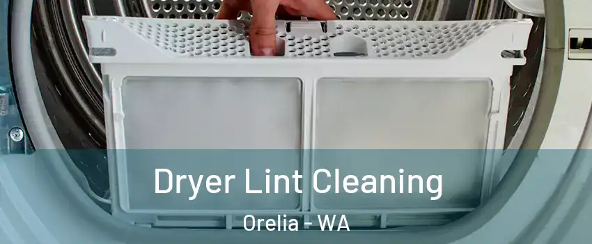 Dryer Lint Cleaning Orelia - WA