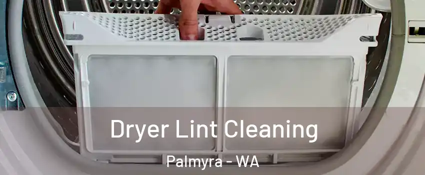 Dryer Lint Cleaning Palmyra - WA