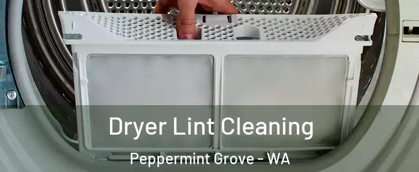 Dryer Lint Cleaning Peppermint Grove - WA