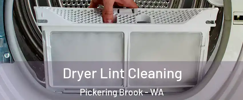 Dryer Lint Cleaning Pickering Brook - WA