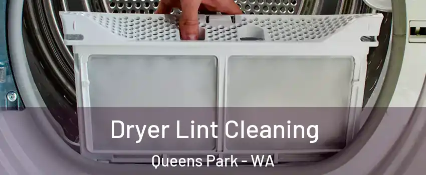 Dryer Lint Cleaning Queens Park - WA