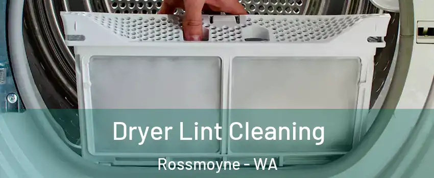 Dryer Lint Cleaning Rossmoyne - WA