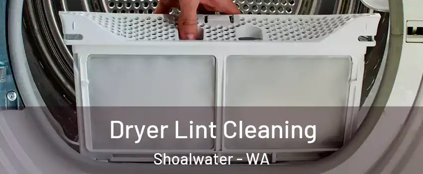 Dryer Lint Cleaning Shoalwater - WA