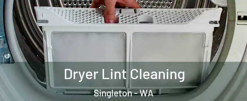 Dryer Lint Cleaning Singleton - WA