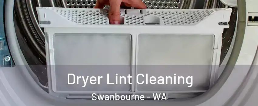 Dryer Lint Cleaning Swanbourne - WA