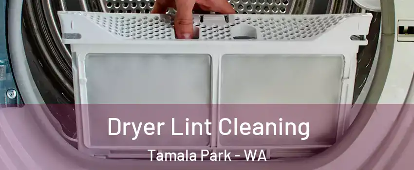 Dryer Lint Cleaning Tamala Park - WA